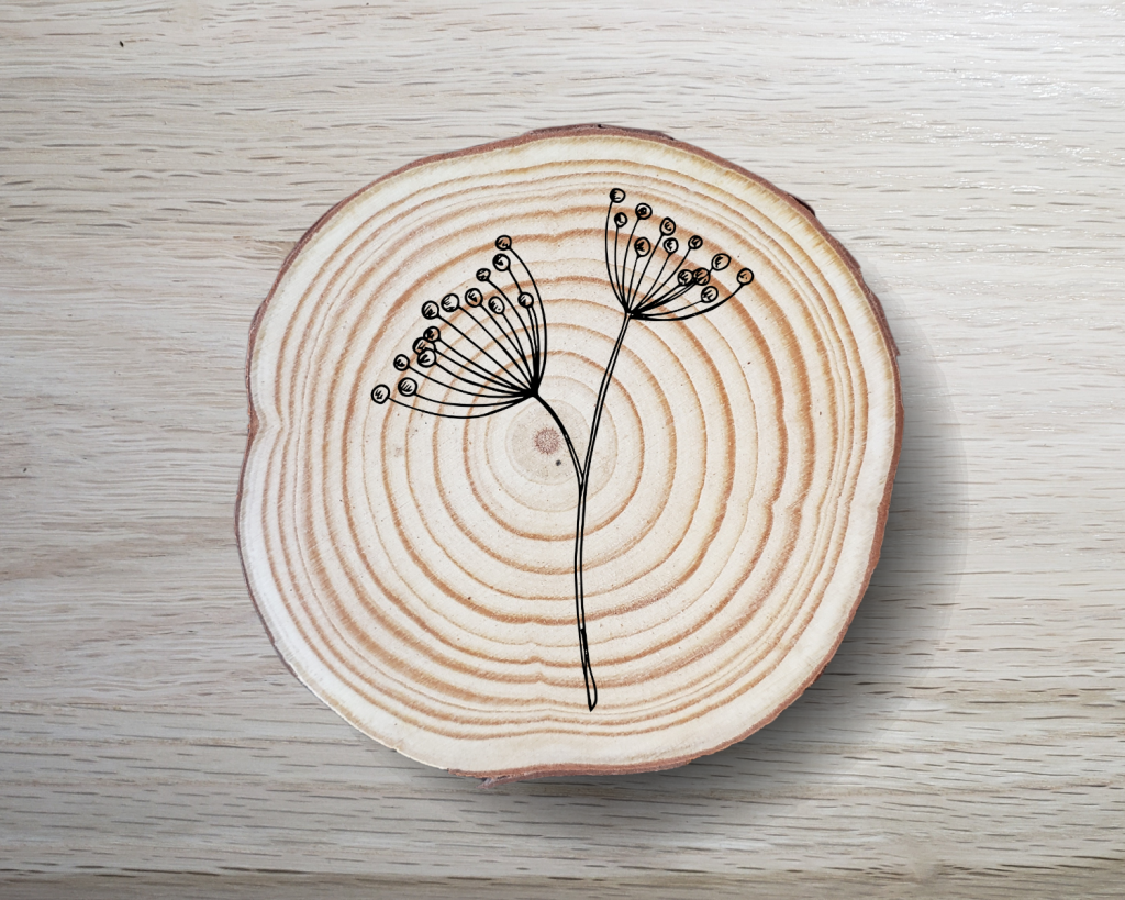 Angelica Coaster Set