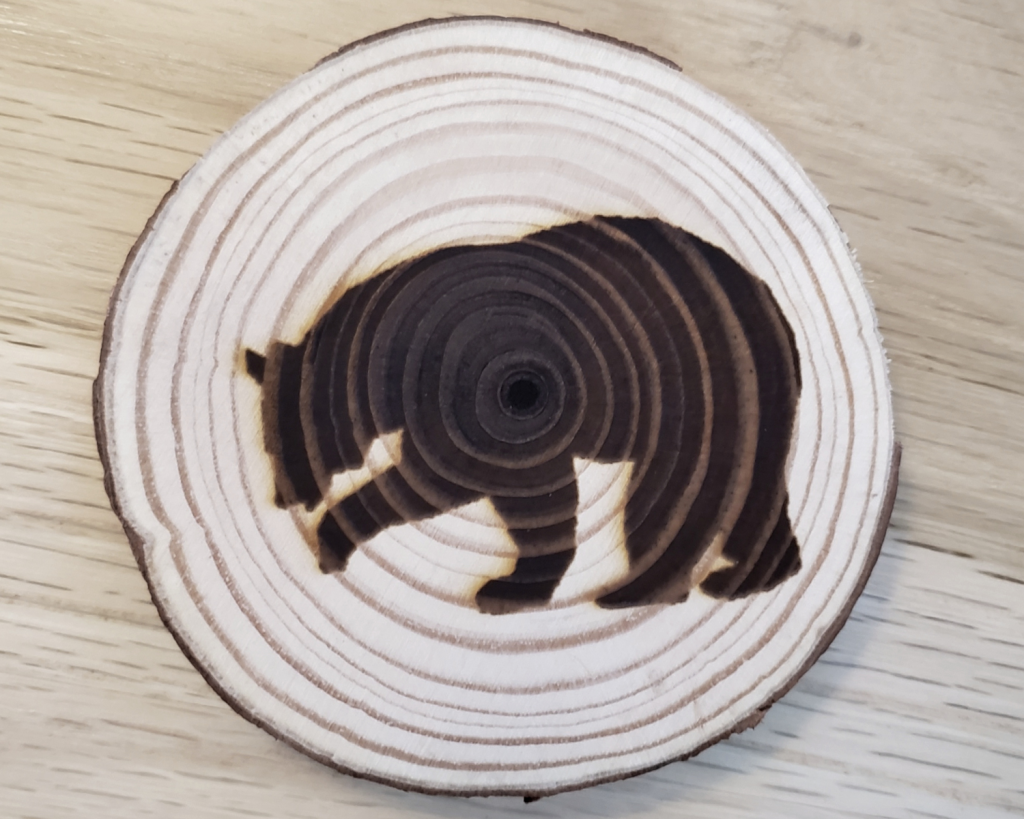 Bear Coaster Set