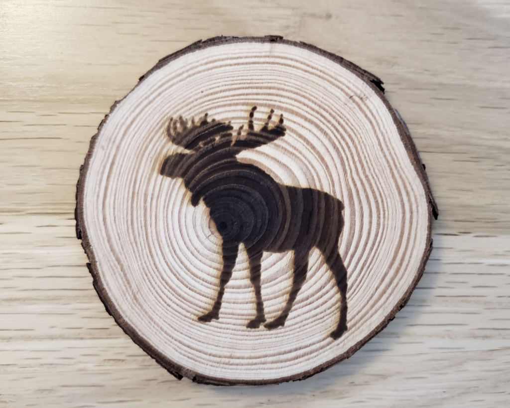 Moose Coaster Set