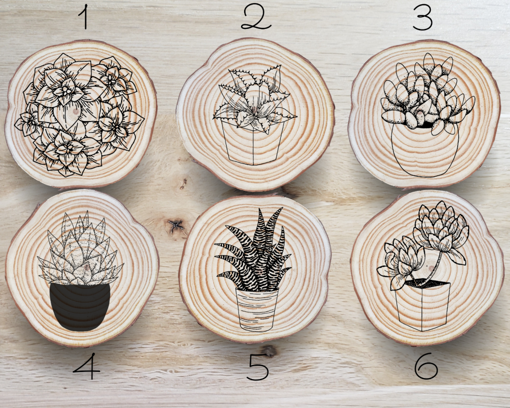 Succulent Coaster Set