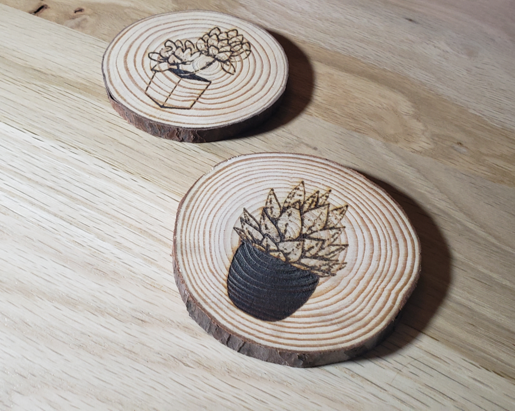 Succulent Coaster Set