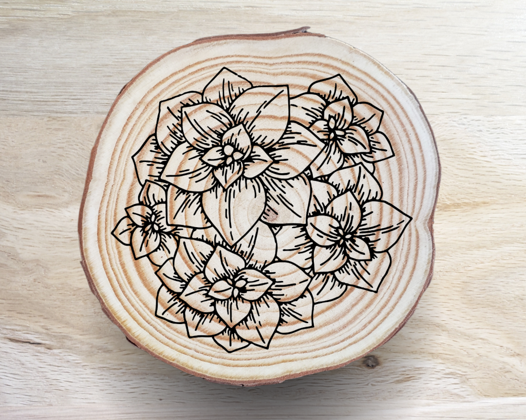 Succulent Coaster Set