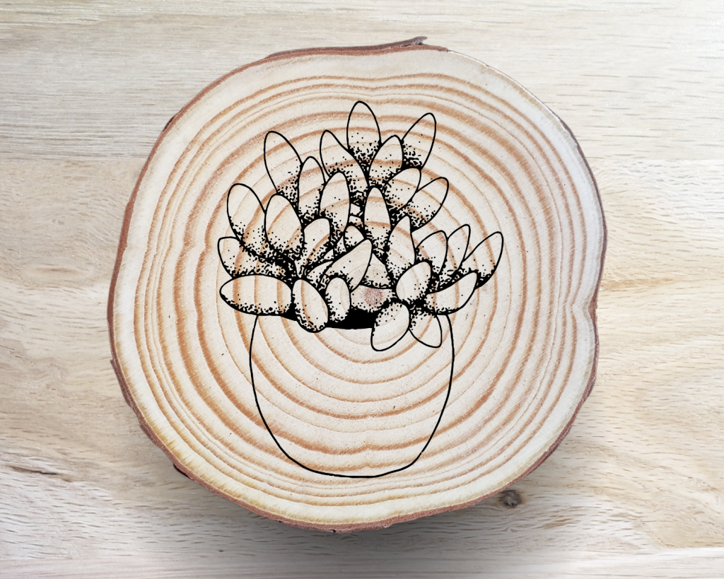 Succulent Coaster Set