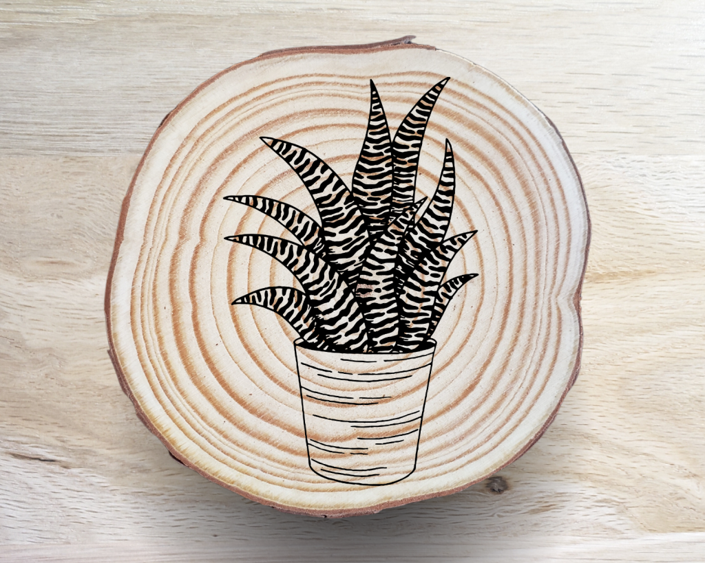 Succulent Coaster Set