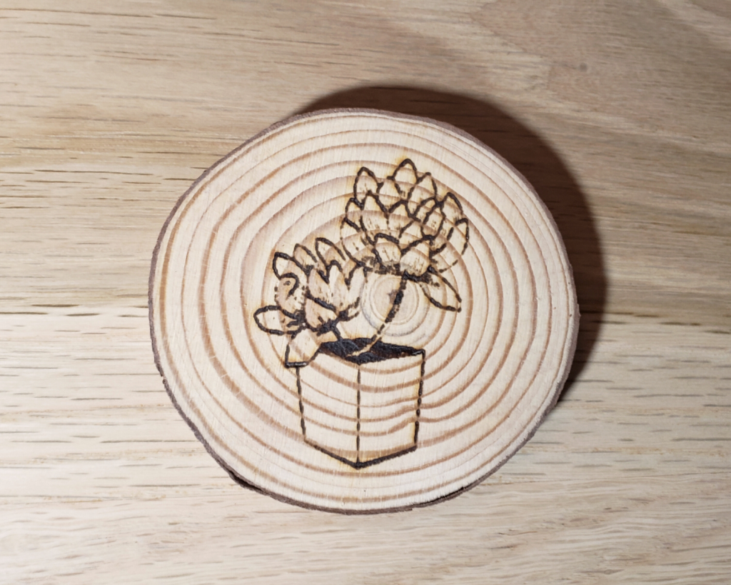 Succulent Coaster Set