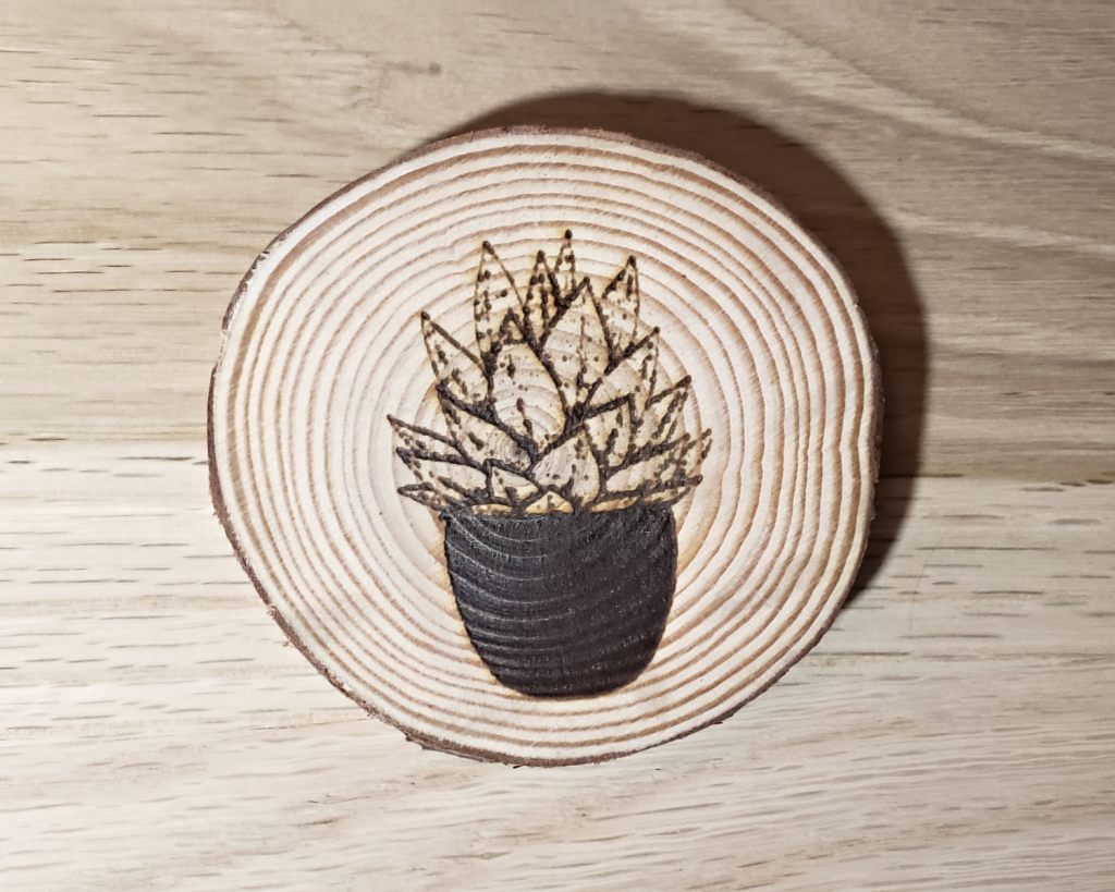 Succulent Coaster Set