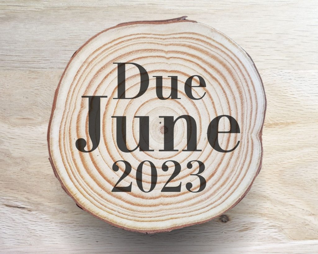 Bold Baby Announcement Coaster Set