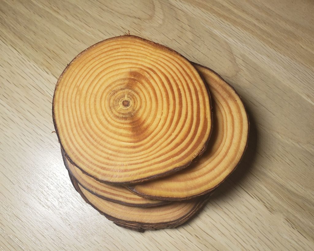 Wood Slice Coaster Set